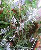 ��٥����_20060820
