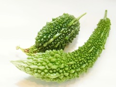R0044935_ゴーヤが変な形になってきた_20110826