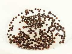 R0045559_コールラビ白種水漬け_20111006