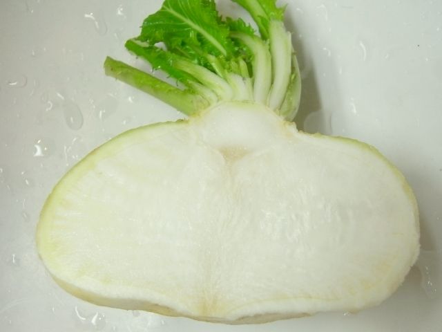 R0028954_かぶ断面_20101127