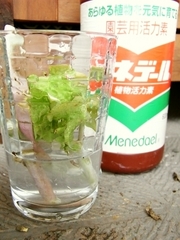 R0011363_�쥿�����ޤ���¸�_��ͥǡ���ˤĤ���