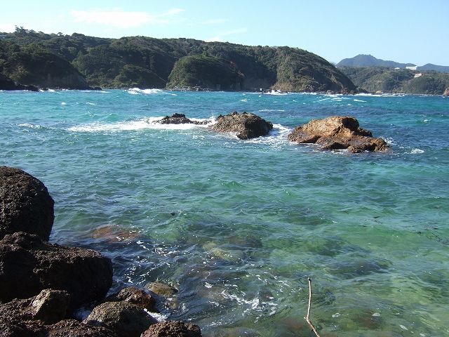 DSCF1994