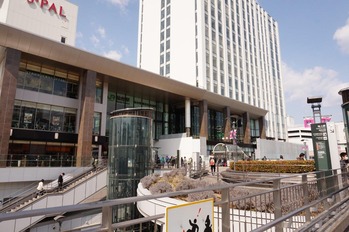 DSC08911 (1)
