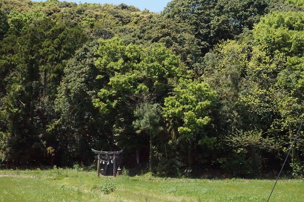 DSC00761