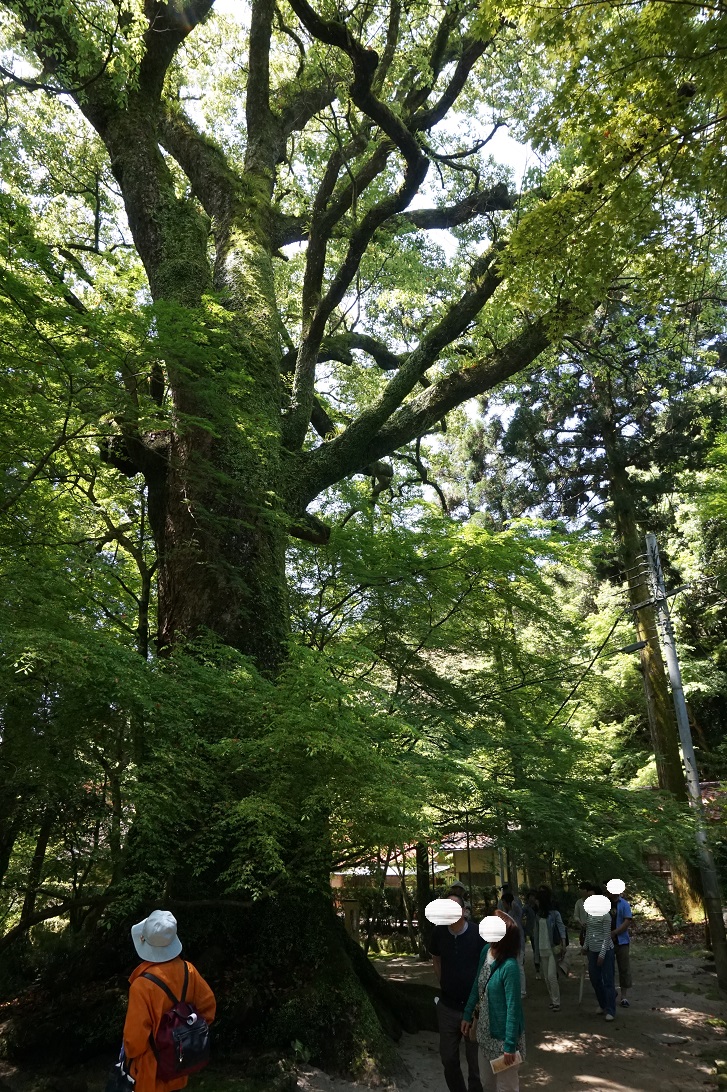 DSC06287