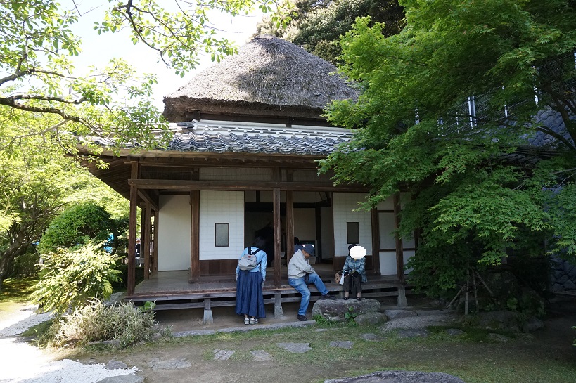 DSC06242