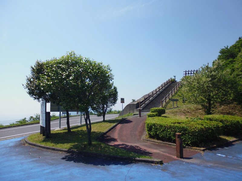 P1030831