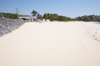 DSC00324