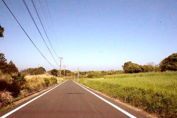 dsc00244