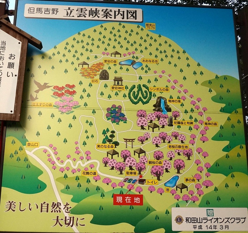 dsc07591