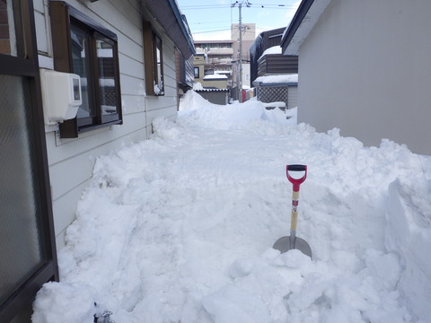 落雪は氷や水分を含んでいるので重い