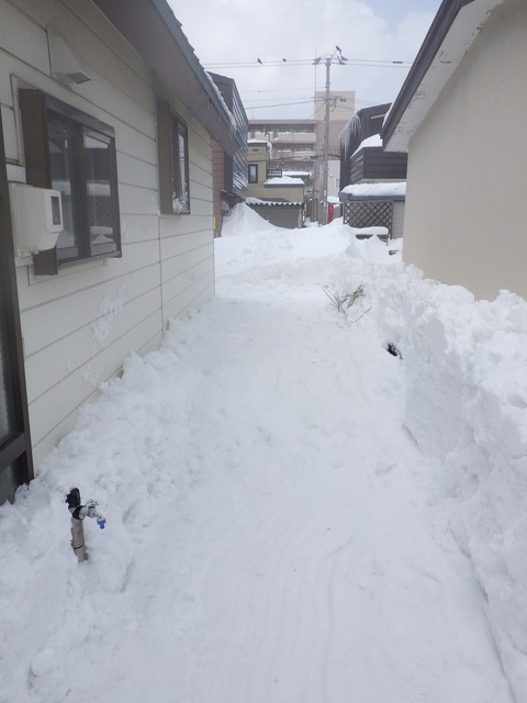 綺麗になりました!