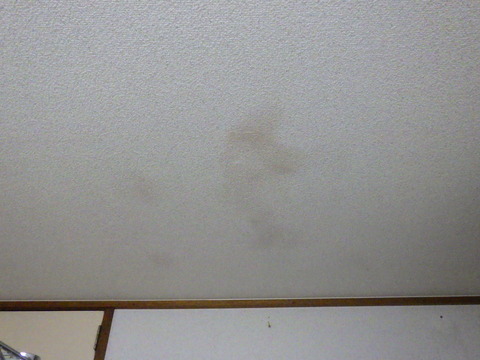 シミなどがある場合も洗剤を使って清掃する