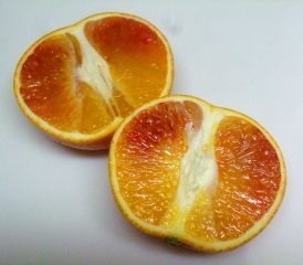 ¥¿¥í¥Ã¥³¥ª¥ì¥ó¥¸0008
