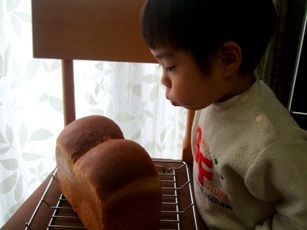 2011_1225¤ª¤Ð¤±¤Ñ¤ó¥¯¥ê¥¹¥Þ¥¹0082