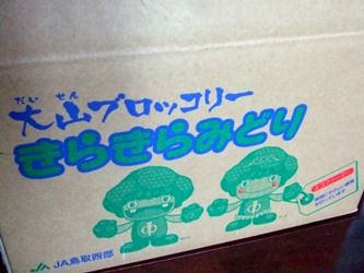 鳥取ブロッコリー0005