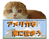 アメリカ家に住まう