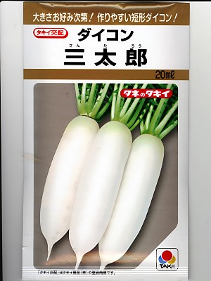 »°ÂÀϺÂçɽÂç