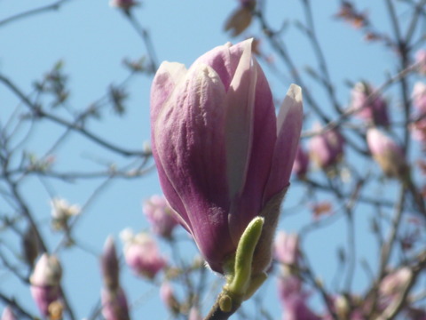 P1140064