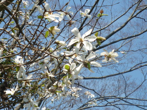 P1140087