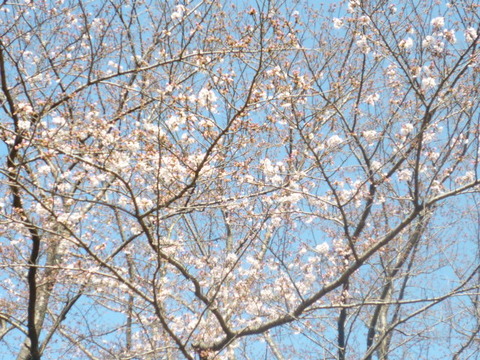 P1140098