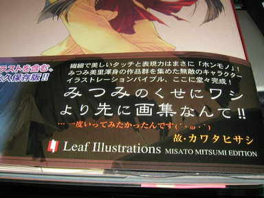 Leaf Illustrations MISATO MITSUMI EDITION¡¡ÂÓ
