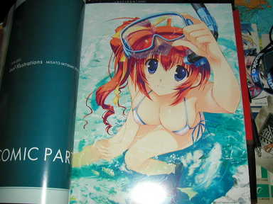 Leaf Illustrations MISATO MITSUMI EDITION ÉÁ¤²¼¤í¤·£