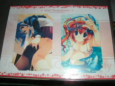 Leaf Illustrations MISATO MITSUMI EDITION¡¡¥Æ¥ì¥«