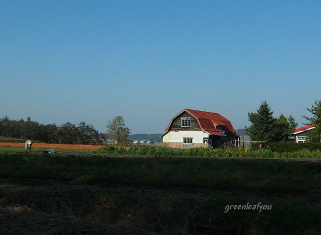 PA170002