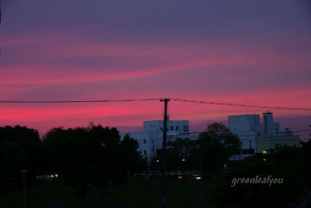 _IGP13915