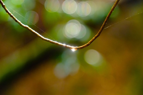 DSCF1377