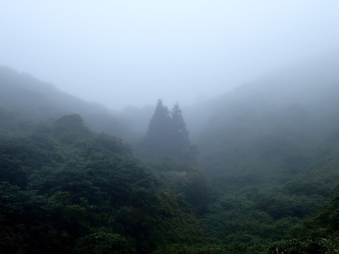P5210020