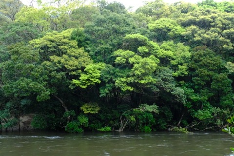 DSCF8400