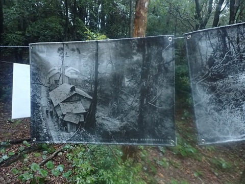 P3300060