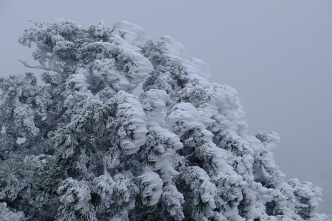 DSCF2322