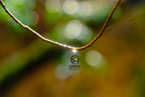 DSCF1377