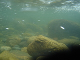 90fd5f65.jpg