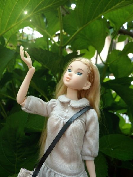 momoko2