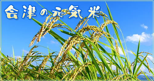 22new-rice-cm2