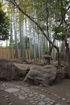 DSC01252