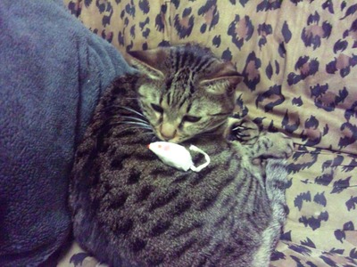 DSC_0345