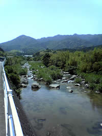 25e9abd7.jpg