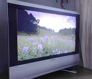 43106a05.jpg