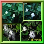 16税所