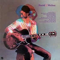 david t walker