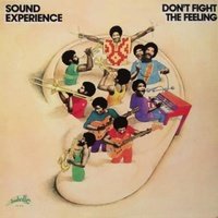 dont fight the feeling