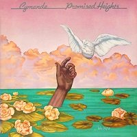 promised heights