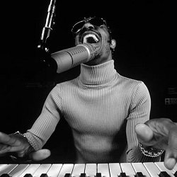 stevie wonder