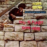 Sho Is Funky Down Here / James Brown : FUNK OF AGES