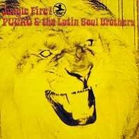 jungle fire